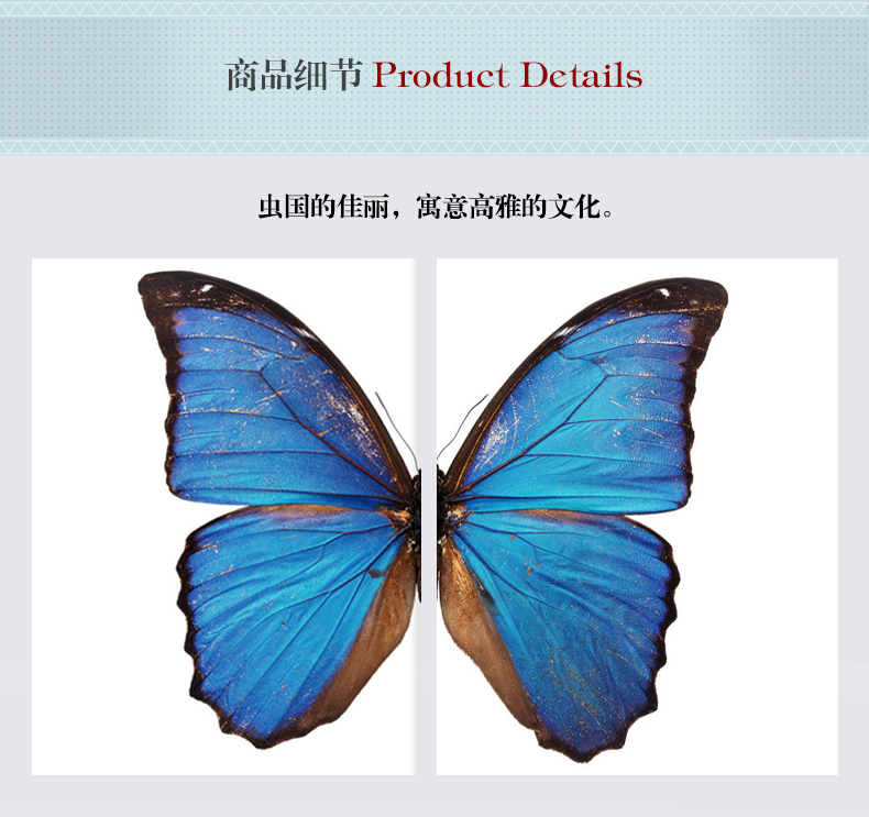 現(xiàn)代輕奢簡歐動物裝飾畫 餐廳蝴蝶標本鋁合金框晶瓷畫 純手繪油畫 蝶舞