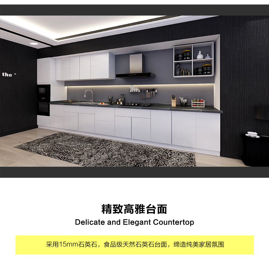 星空梵高定制櫥柜 現(xiàn)代簡約整體定制櫥柜 石英石臺面定制櫥柜 雙飾面-顆?？酒?10定制櫥柜