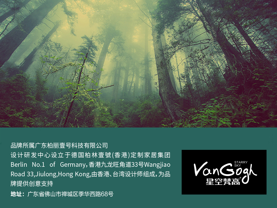 星空梵高 輕奢風格 頭層真皮軟床 夢之巴黎 YP603#